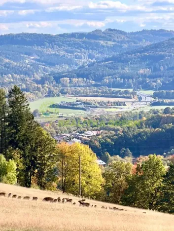 Prodej pozemku pro bydlení, Pržno, 6194 m2