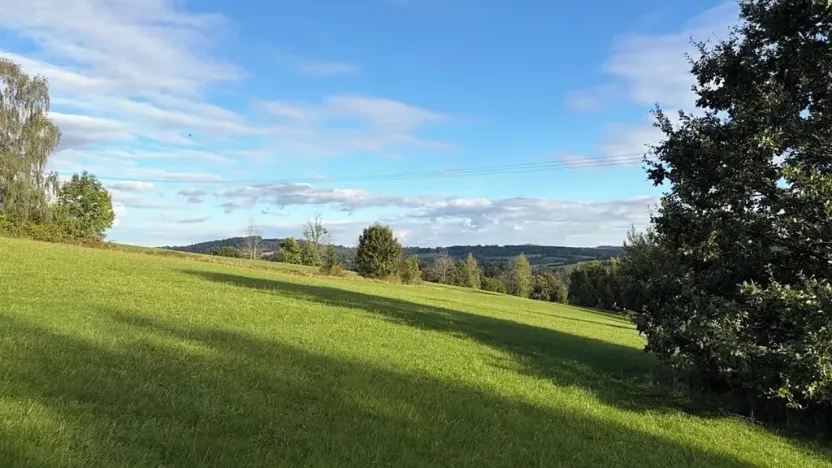 Prodej louky, Háje nad Jizerou, 3927 m2