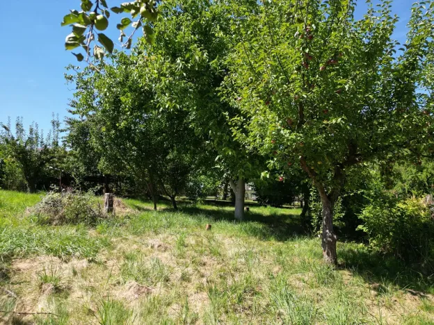Prodej pozemku, Starý Plzenec, Heydukova, 809 m2