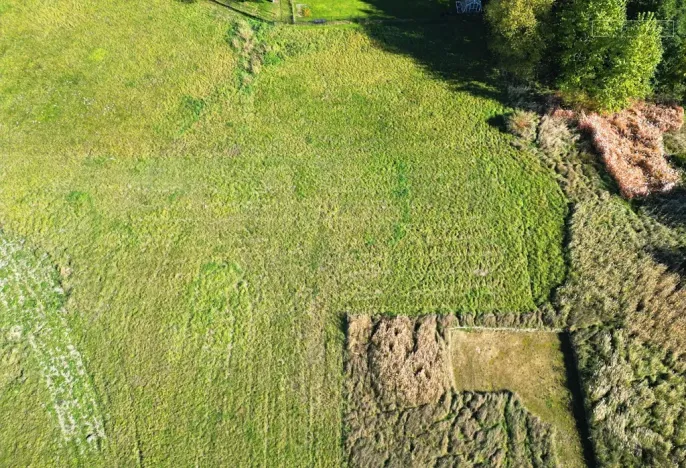 Prodej pozemku pro bydlení, Karviná, 768 m2