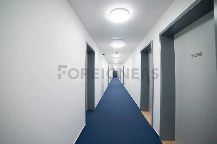 Pronájem bytu 1+kk, Olomouc, Edmunda Husserla, 29 m2