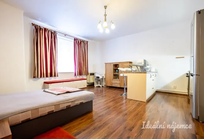 Pronájem bytu 1+kk, Praha - Žižkov, Viklefova, 38 m2