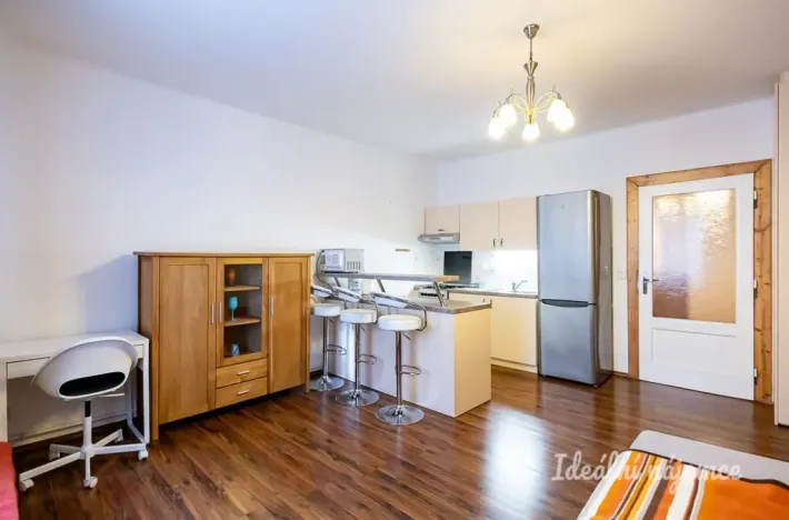 Pronájem bytu 1+kk, Praha - Žižkov, Viklefova, 38 m2
