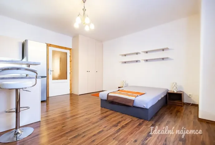 Pronájem bytu 1+kk, Praha - Žižkov, Viklefova, 38 m2