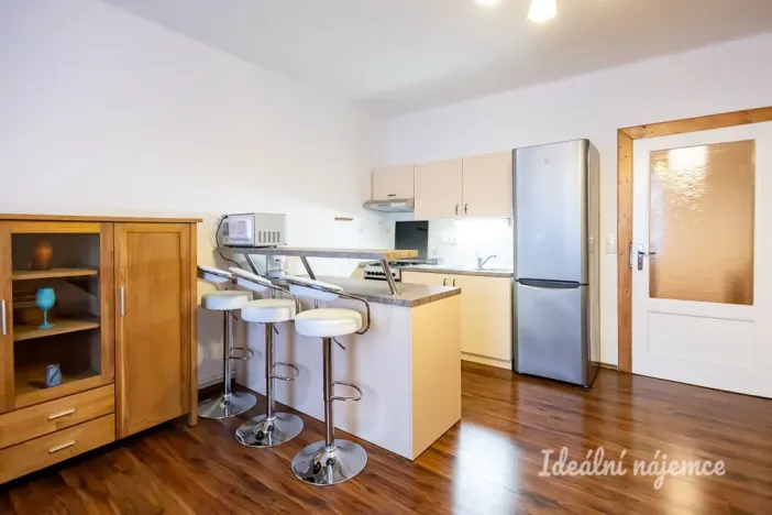 Pronájem bytu 1+kk, Praha - Žižkov, Viklefova, 38 m2