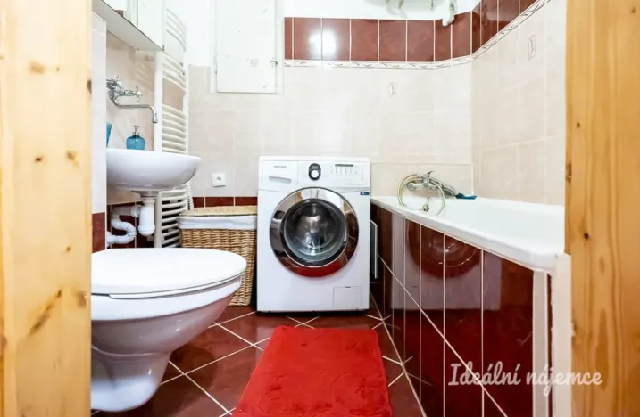 Pronájem bytu 1+kk, Praha - Žižkov, Viklefova, 38 m2
