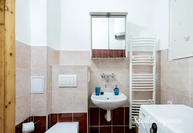 Pronájem bytu 1+kk, Praha - Žižkov, Viklefova, 38 m2