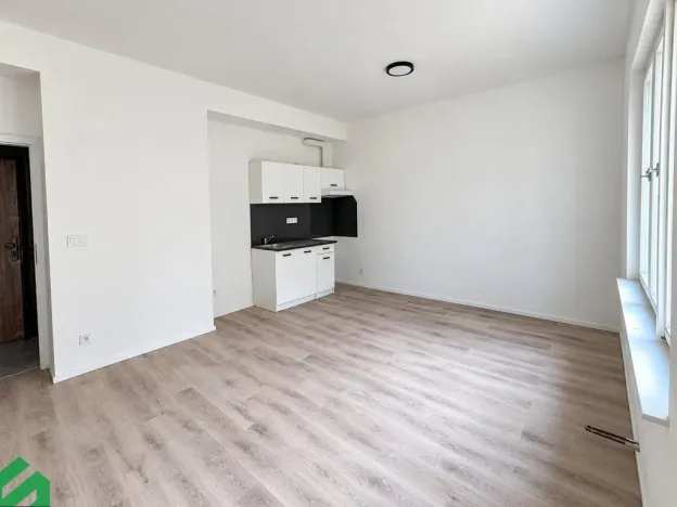 Pronájem bytu 1+kk, Praha - Libeň, Na Truhlářce, 30 m2