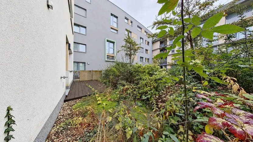 Prodej bytu 2+kk, Praha - Žižkov, Olgy Havlové, 66 m2