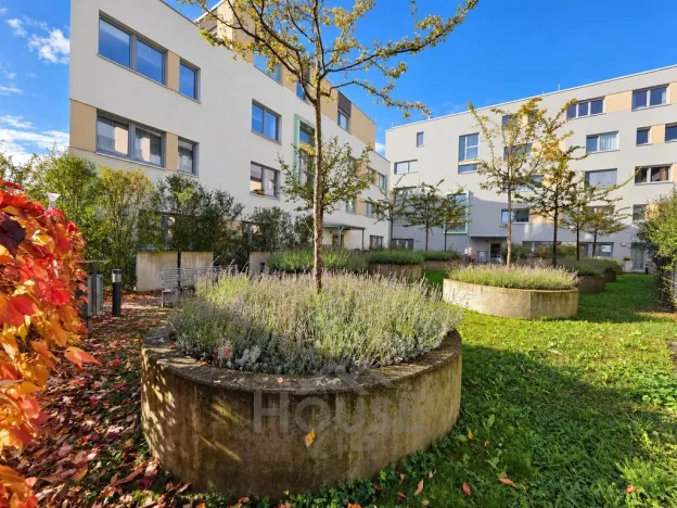 Prodej bytu 2+kk, Praha - Žižkov, Olgy Havlové, 66 m2