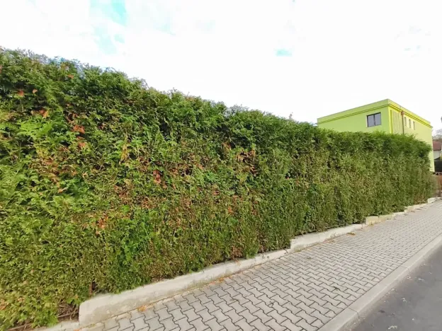 Prodej rodinného domu, Kozolupy, 180 m2