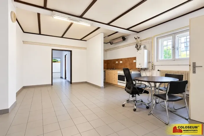Prodej obchodního prostoru, Boskovice, 247 m2