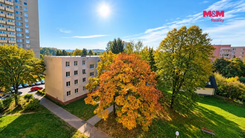 Prodej bytu 1+1, Havířov - Podlesí, Kosmonautů, 36 m2