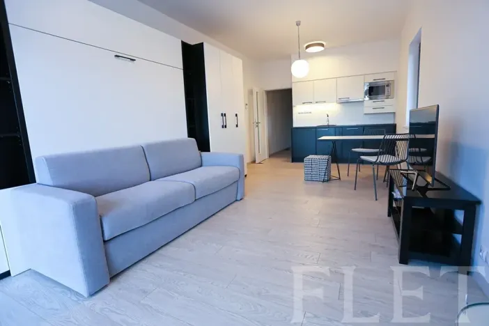 Pronájem bytu 1+kk, Praha - Karlín, U Mlýnského kanálu, 36 m2