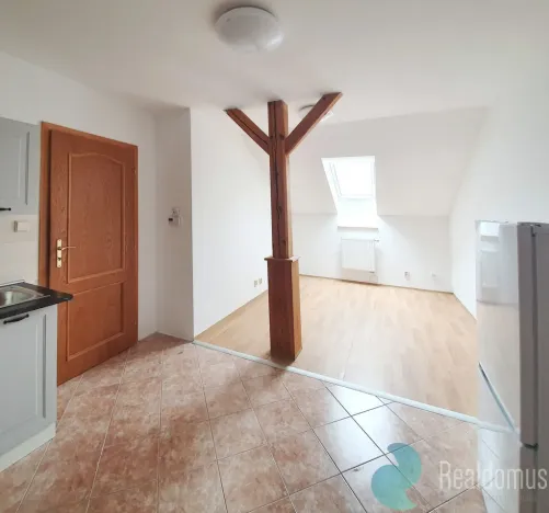 Pronájem bytu 2+kk, České Budějovice, Skuherského, 45 m2