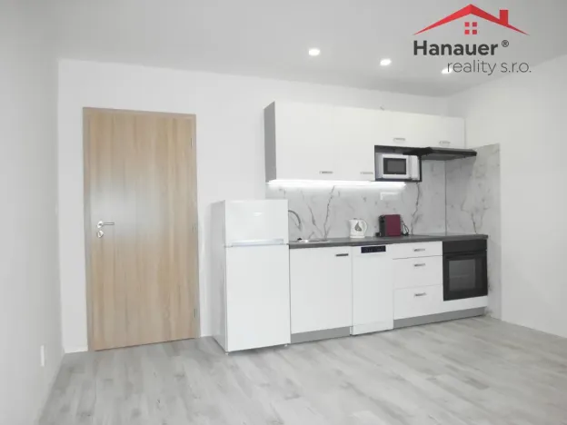 Pronájem bytu 2+kk, Ústí nad Labem - Severní Terasa, Brandtova, 40 m2