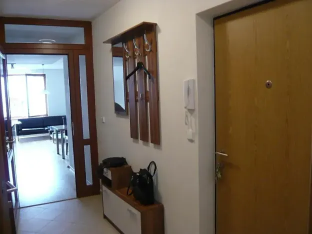 Prodej bytu 2+kk, Brno, Vinohrady, 55 m2
