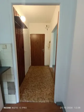 Prodej bytu 1+1, Frýdek-Místek, Anenská, 40 m2