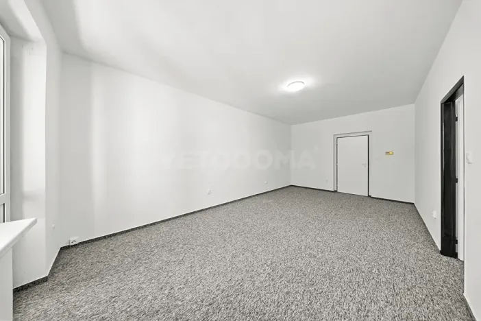 Pronájem bytu 3+1, Plzeň, Mánesova, 75 m2