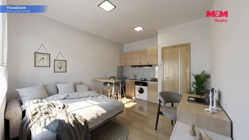 Prodej bytu 1+kk, Teplice - Trnovany, U Vlastního krbu, 19 m2