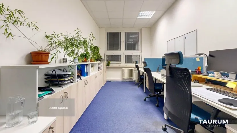Pronájem kanceláře, Plzeň - Východní Předměstí, Slovanská alej, 481 m2