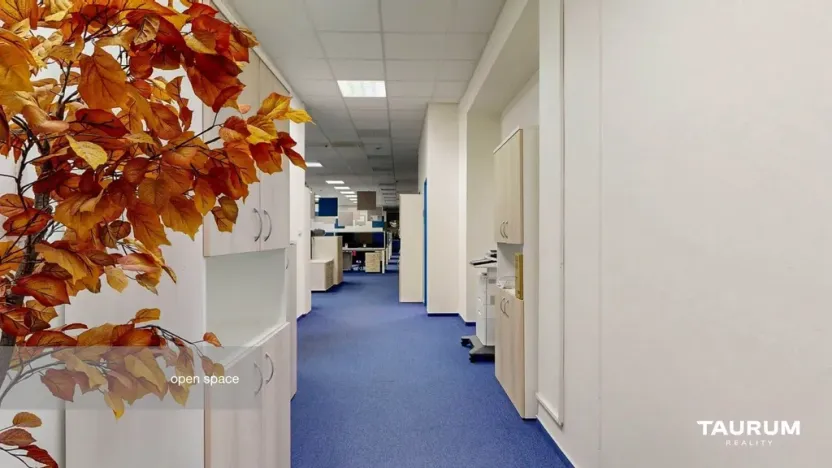 Pronájem kanceláře, Plzeň - Východní Předměstí, Slovanská alej, 481 m2