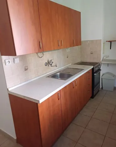 Prodej bytu 1+1, Brno - Ponava, Kartouzská, 43 m2