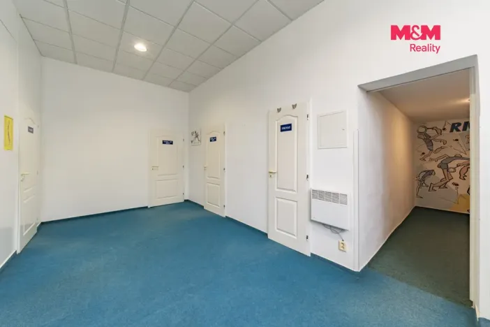Prodej obchodního prostoru, Cheb, Lesní, 130 m2
