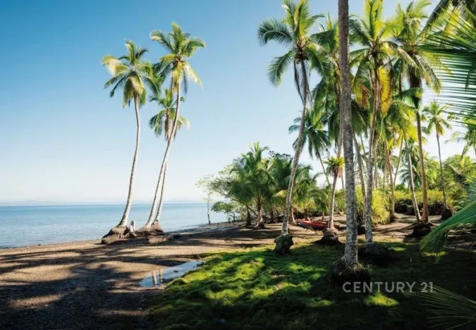 Prodej vily, Puerto Jiménez Canton, Costa Rica, Calle Plaza, 153 m2