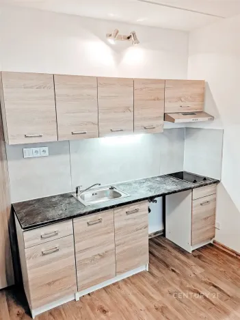 Pronájem bytu 1+kk, Most, U Věžových domů, 21 m2