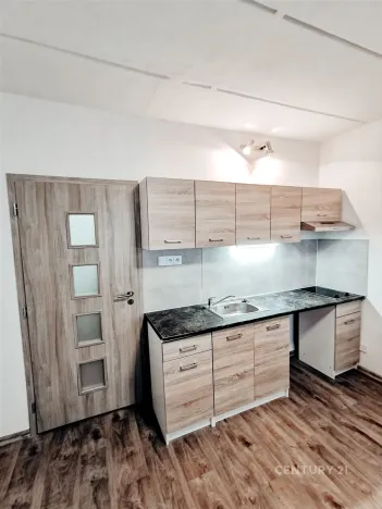 Pronájem bytu 1+kk, Most, U Věžových domů, 21 m2