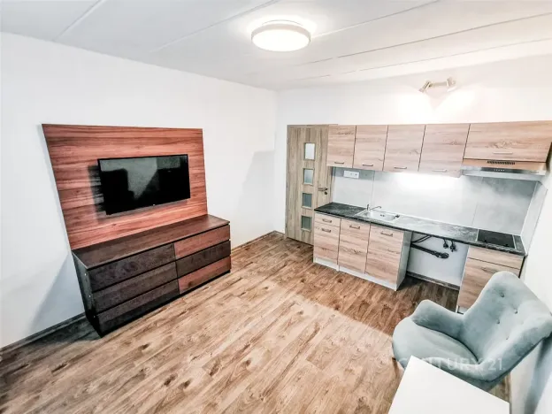 Pronájem bytu 1+kk, Most, U Věžových domů, 21 m2