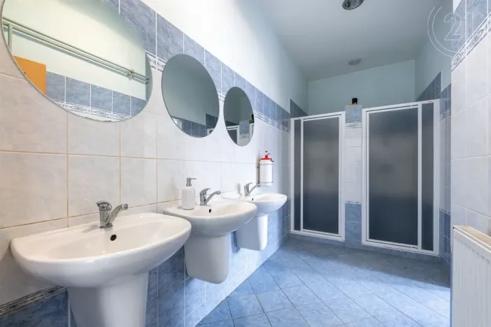 Pronájem výrobních prostor, Plzeň, K Cihelnám, 125 m2