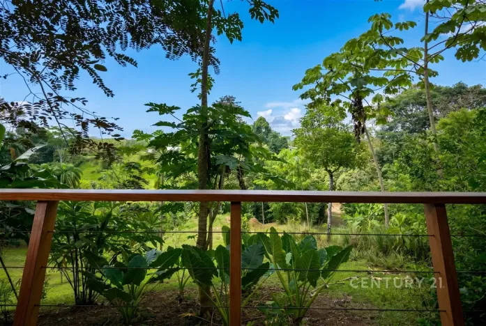 Prodej vily, Puerto Jiménez Canton, Costa Rica, Calle Playa Cañaza, 60 m2