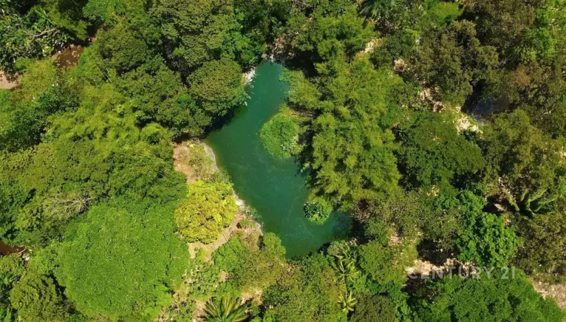 Prodej vily, Puerto Jiménez Canton, Costa Rica, Calle Playa Cañaza, 60 m2