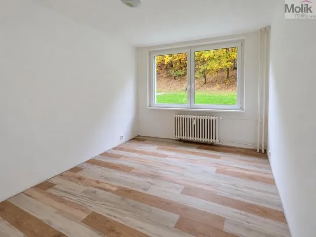 Pronájem bytu 4+1, Litvínov - Janov, Luční, 85 m2