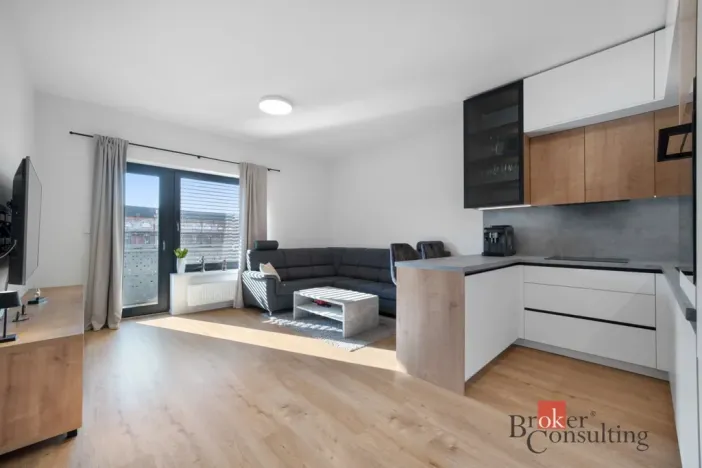 Pronájem bytu 2+kk, Brno - Staré Brno, Nové sady, 68 m2