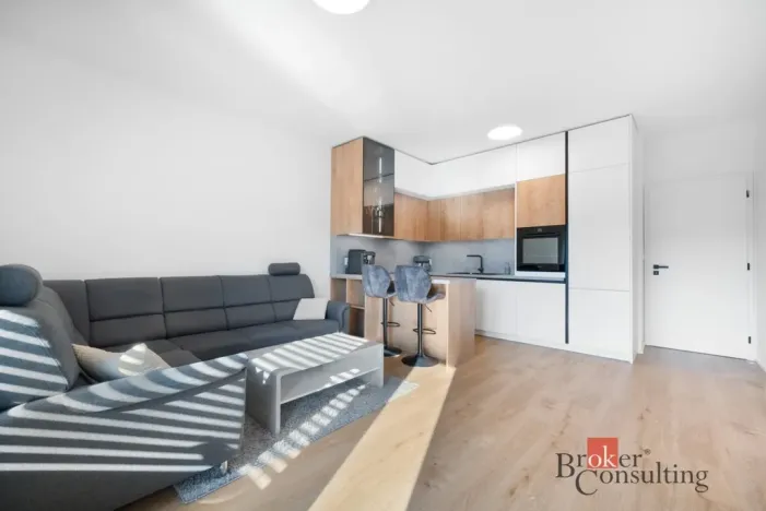 Pronájem bytu 2+kk, Brno - Staré Brno, Nové sady, 68 m2