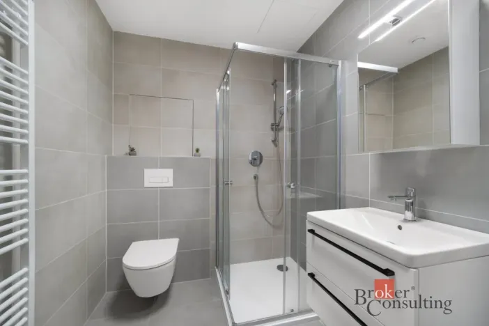 Pronájem bytu 2+kk, Brno - Staré Brno, Nové sady, 68 m2