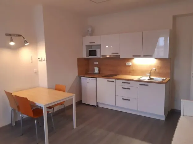Pronájem bytu 1+kk, Ostrava - Moravská Ostrava, Bachmačská, 28 m2
