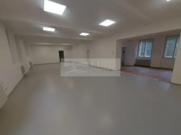 Pronájem obchodního prostoru, Praha, Na Březince, 182 m2