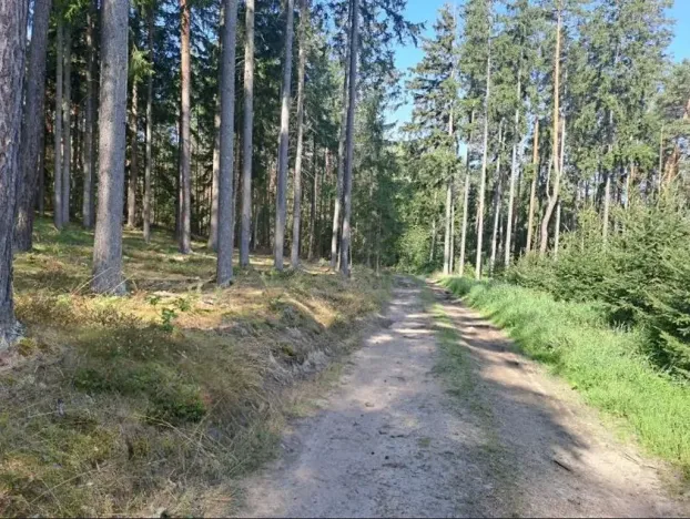 Prodej pozemku, Mirotice, 5629 m2