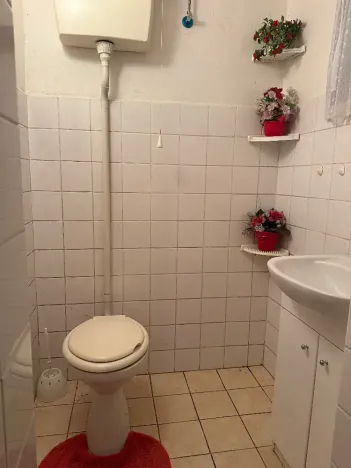 Prodej rodinného domu, Panenské Břežany, 300 m2