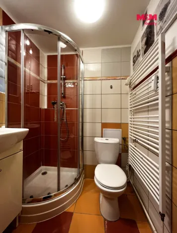 Pronájem bytu 1+1, Plzeň - Jižní Předměstí, Raisova, 30 m2
