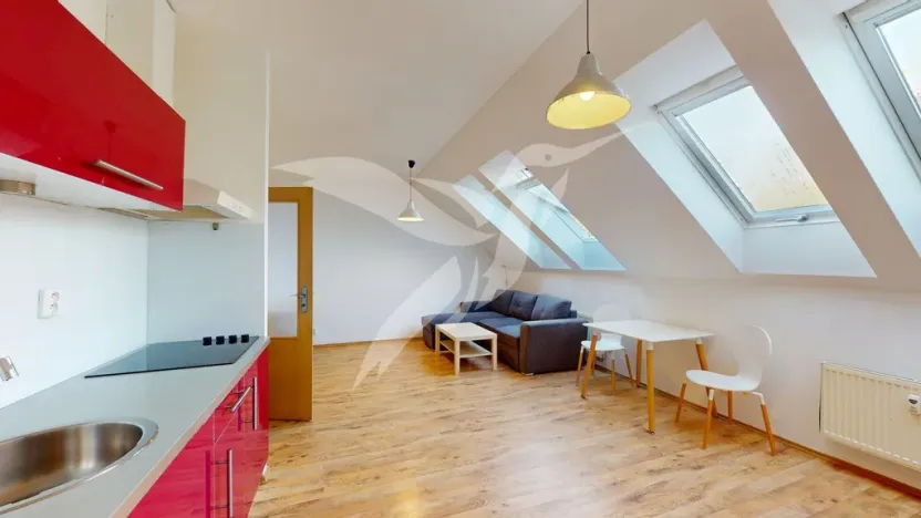 Pronájem bytu 1+kk, Plzeň, U Ježíška, 39 m2