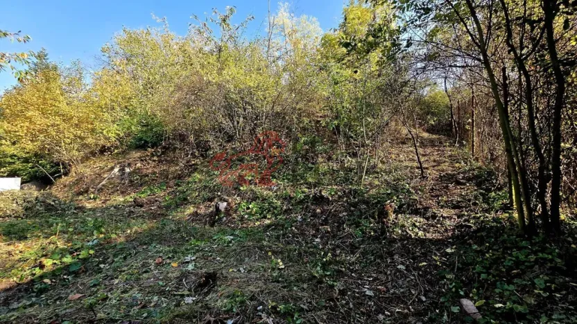 Prodej pozemku pro bydlení, Masojedy, 1619 m2