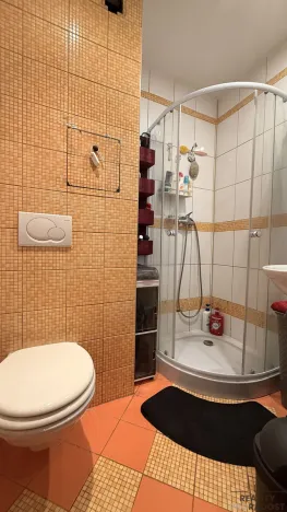 Prodej bytu 1+kk, Havířov, Karolíny Světlé, 22 m2