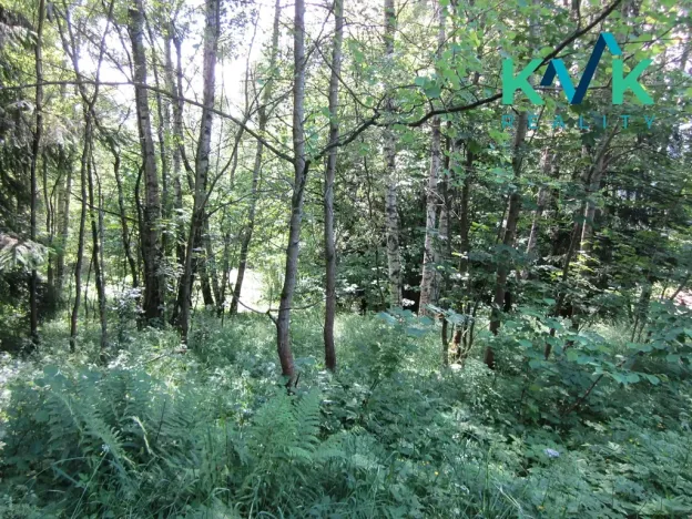 Prodej pozemku, Nejdek, 3489 m2