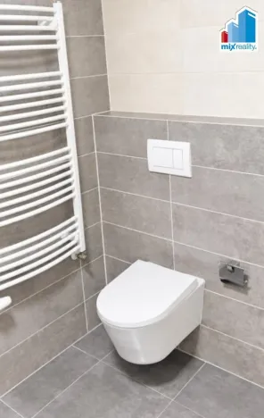 Pronájem bytu 2+kk, Plzeň - Východní Předměstí, Papírnická, 59 m2