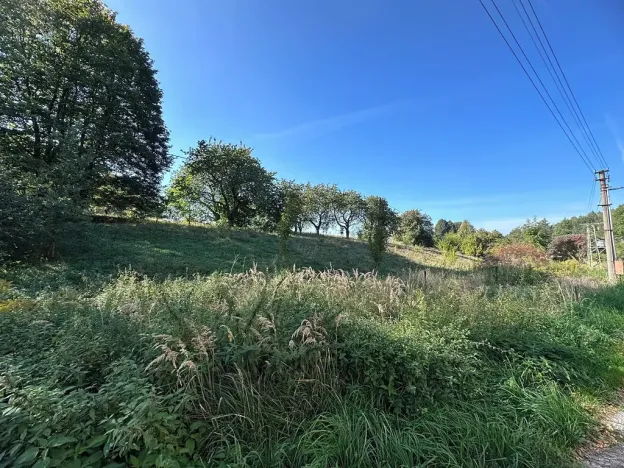 Prodej pozemku pro bydlení, Rynoltice, 3863 m2